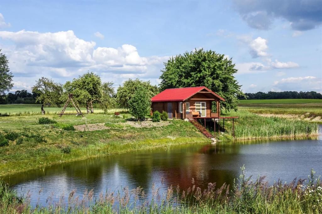 Виллы Kaimo turizmo sodyba Varkalė Pabaiskas-41